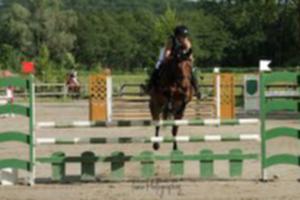 photo REITWILLER