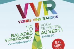 Randonnée VVR au cœur de l’appellation Coteaux-du-Vendômois