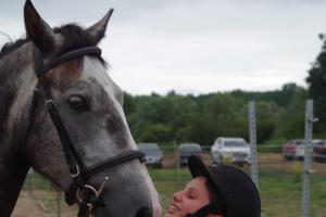 Activités pour cette été chez Equi Family !