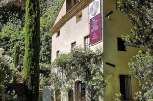 La Sorgue côté jardin de Pétrarque