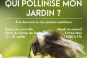 Qui pollinise mon jardin