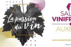 photo Salon Vinifrance Auxerre