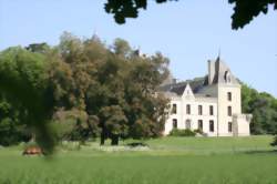 Vide-grenier au Chateau de Ternay
