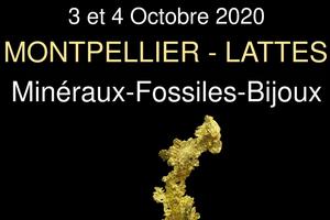 photo Bourse minéraux fossiles bijoux Lattes Montpellier