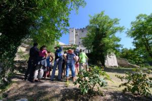 photo Visite guidée introductive dans les jardins de la Tour