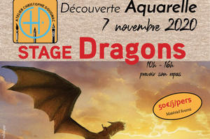 Découverte Dragons