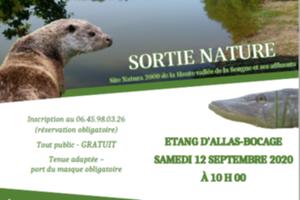 Sortie nature à l'étang d'Allas-Bocage