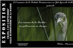 Exposition photographies