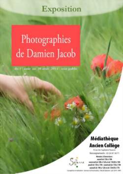 Exposition de Damien Jacob