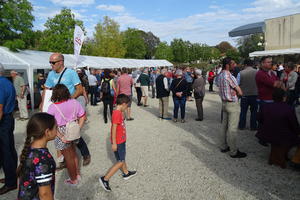 Fête des vins et des produits de terroir