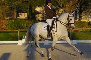 Concours National de Dressage