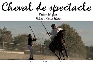 Cheval de spectacle édition spéciale