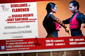 photo Flamenco et sévillanes