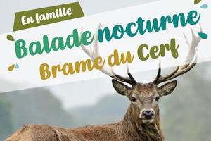 Balade Brame du Cerf