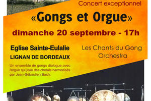 photo Concert Gongs et Orgue