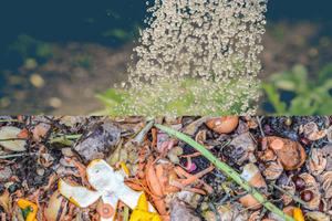 photo Le compostage et les économies d'eau