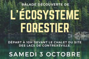 Balade découverte de l'écosystème forestier