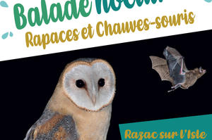 photo Le monde de la nuit : Balade animée sur les rapaces nocturne et chauves-souris