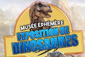 Le Musée Ephémère présente: 