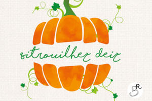 Sitrouilhez Deiz - Vente citrouilles et courges