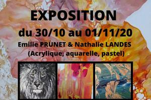 Exposition peintures (acrylique, aquarelle et pastel)