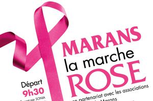 photo LA MARCHE OCTOBRE ROSE