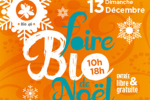 photo Foire Bio de Noël