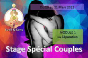 STAGE SPECIAL COUPLES MODULE 1 (COMPLET)