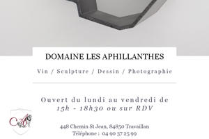 Exposition au domaine les Aphillanthes