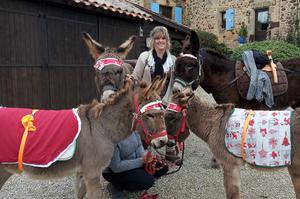  BALADE AVEC ÂNES AUX SAVEURS DE NOEL