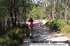 photo Marche Afghane et Sylvothéraphie