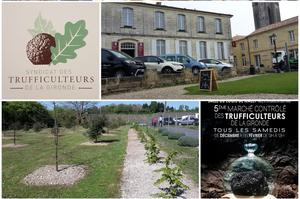 photo Marché de la Truffe de Gironde