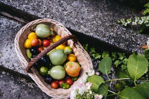 photo Rendez-vous aux jardins 2021