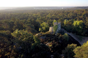 photo Une visite guidée spéciale biodiversité en forêt de Fontainebleau