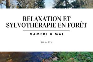 Relaxation et sylvothérapie en forêt