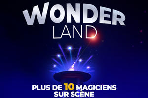 photo Wonderland - Le Spectacle