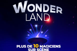 Wonderland - Le Spectacle