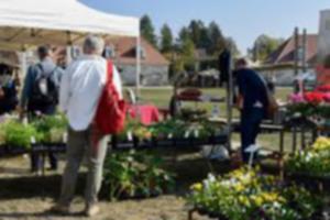 photo 39e Foire aux plants et vide grenier