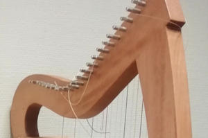 Stage construction harpe celtique