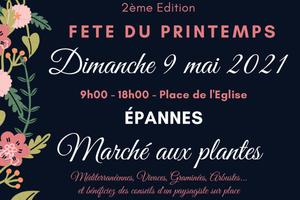 photo FETE DU PRINTEMPS - MARCHE AUX PLANTES