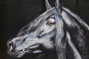 photo Exposition de peinture Christine DESTOUCHES