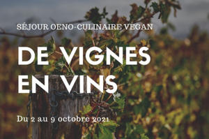 photo De vignes en vins