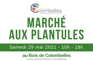 photo MARCHE AUX PLANTULES