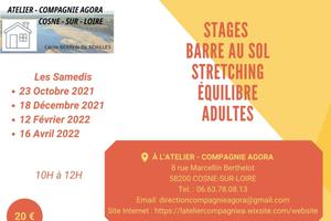 photo Stages adultes barre au sol, stretching, équilibre à L'ATELIER-COMPAGNIE AGORA