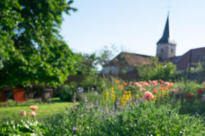 photo Rendez-Vous aux jardins