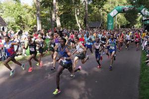 photo Les 10km de la Course entre mer et forêt 