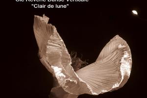 Compagnie Rêverie  Danse Verticale        « Clair de lune » 