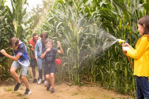 Ouverture du Labyrinthe en Vendée Vallée