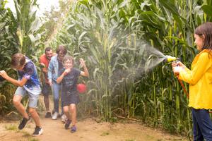 photo Ouverture du Labyrinthe en Vendée Vallée