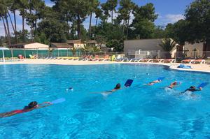 stages d 'apprentissage et perfectionnement natation